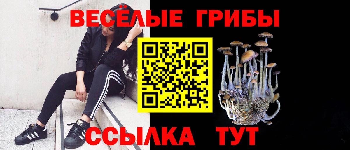 Лангепас  Псилоцибиновые грибы Psilocybine cubensis  Вход с VPN  Псилоцибиновые грибы мухоморы 